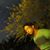 sam_1234
