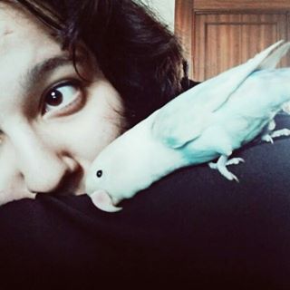 sylfere_