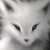 whitefox
