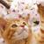 yara_essam